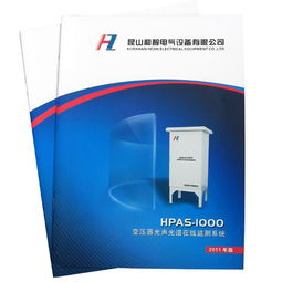 視覺(jué)的力量 產(chǎn)品樣本、企業(yè)畫(huà)冊(cè)與電腦圖文的設(shè)計(jì)與印刷藝術(shù)